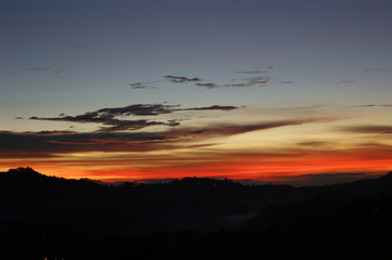 SONY DSC