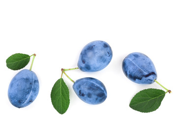 plums with leaf isolated on a white background with copy space for your text. Top view. Flat lay pattern