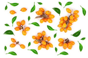 Sea buckthorn. Fresh ripe berry isolated on white background. Top view. Flat lay pattern