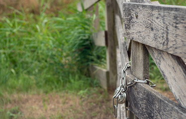 Weathered wooden gate closed with shiny chain and padlock.