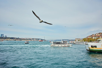 Fototapeta na wymiar View to Istanbul and passenger ferry. River of the Bosphorus.