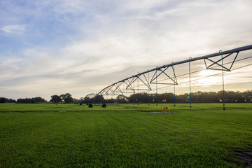 Farm 2