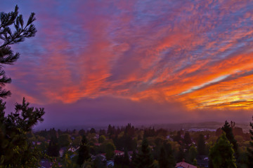 Sunrise Over Suburbia