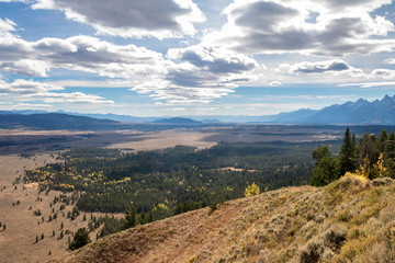 Naklejka premium Teton Valley as seen from the Signal Mountain Overlook