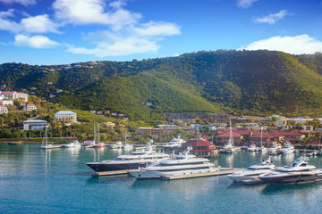 Fototapeta na wymiar Luxury Yachts in Tropical Harbor