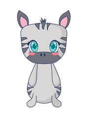 cute zebra adorable character