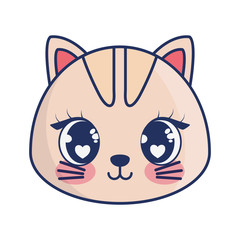 cute cat adorable character