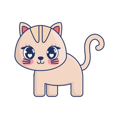 cute cat adorable character