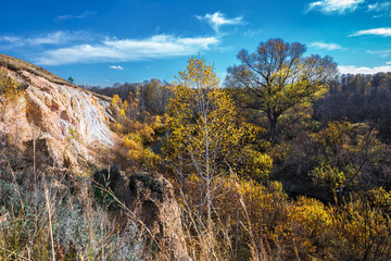 Fototapeta premium Autumn landscape. Novosibirsk region, Western Siberia, Russia