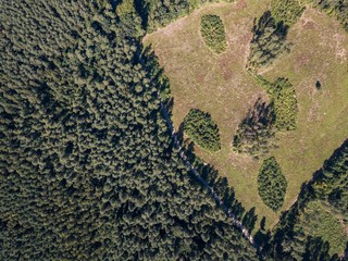 Forest seen from above.  Beautiful drone landscape.