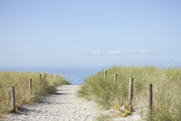 Düne an der Ostsee