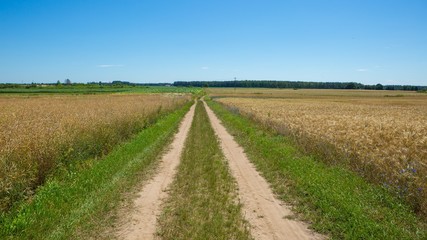 Fototapeta na wymiar Sandy road through fields in Poland