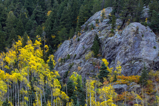 In autumn, Taos Ski Valley in the Carson National Forest of northern New Mexico fills with yellow aspens and other colorful foliage