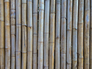 Old brown bamboo for make fence, hut or wall home in countryside.