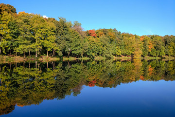 Fototapeta premium reflection of the autumn forest in the calm mirror water of the lake