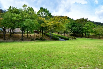 公園の芝生広場