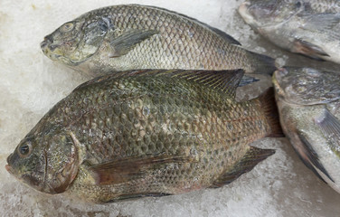 Fresh fish raw on ice sold in supermarkets.Buy for cooking. food concept. Top view, copy space..