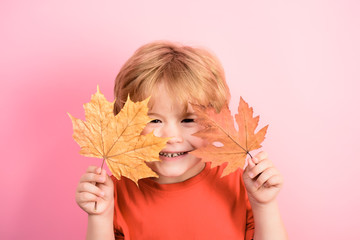 Autumn. Little boy hides behind maple leaf. Happy childhood. Autumn time. Little boy holds maple...