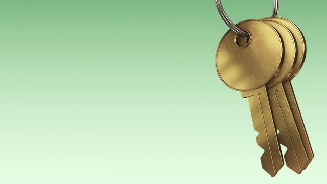 Animation keys from a new home on metallic ring. Different shape of keys in my profile.  Animation of seamless loop.