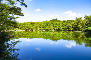 Fototapeta na wymiar 再度公園の風景、兵庫県神戸市北区六甲山にて