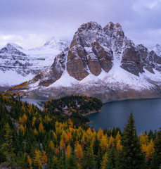 Alpenglow at sunset in the Rocky Mountains of Canada