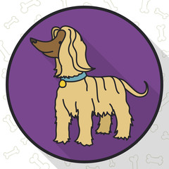 Rounded Button with Cute Afghan Hound Dog in Flat Style, Vector Illustration