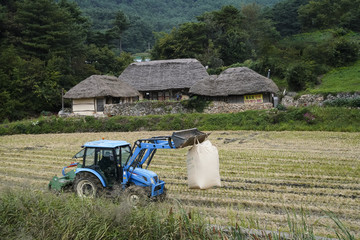 가을철의 농촌 풍경