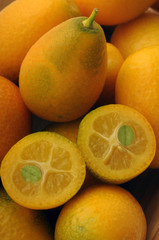 Citrus japonica Kumquat Kumkwat Kumkvat برتقال ياباني Fortunella Κουμκουάτ Kumquats 금귤 Kingen Cumquat Mandarino cinese