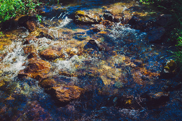 Fototapeta na wymiar Mountain creek with stones near green grass in sunny day. Clean water stream in fast brook in sunlight. Amazing natural texture.
