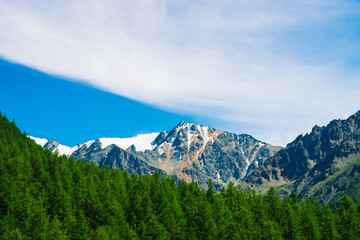 Fototapeta premium Snowy mountain top behind wooded hill under blue clear sky. Rocky ridge above coniferous forest. Atmospheric minimalistic landscape of majestic nature.