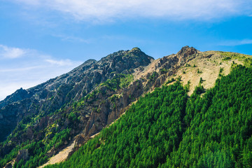 Giant rock with conifer forest on slope in sunny day. Texture of tops of coniferous trees on mountainside in sunlight. Steep rocky cliff. Vivid mountain landscape of majestic nature. View from valley.