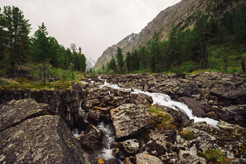 Fast water stream from glacier in wild mountain creek with big wet stones in terrain of Shavlinsky Lakes in Altai. Landscape with forest and snowy mountains on background.