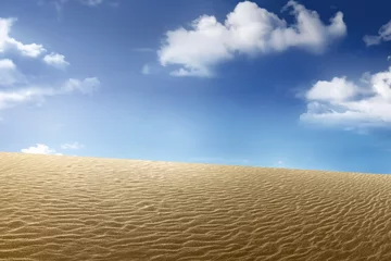 Zelfklevend Fotobehang Zandduinen in de woestijn © Leo Lintang