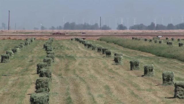 Hay bales on field in California, USA.