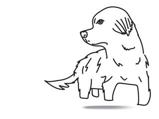 doodle freehand vector illustration of newfoundland dog