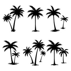 palm tree silhouette set.