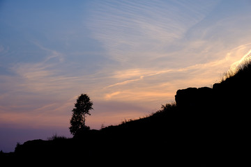 Fototapeta na wymiar silhouette of a tree on the slope of a rock against the sunset sky, a landscape in the summer