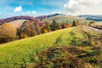 Fototapeta premium lovely autumn landscape in mountains. forest with red foliage on the hill in the distance. wonderful weather on a sunny day