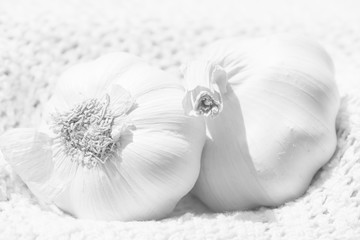 Garlic macro