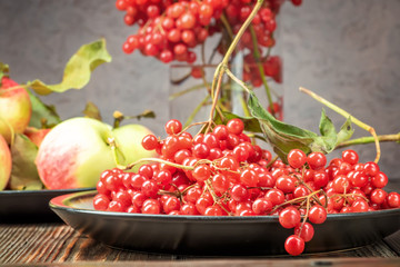 Still life berries of a viburnum and garden seasonal apples in plates