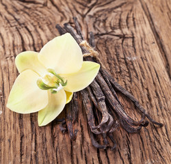 Dried vanilla pods and orchid vanilla flower on wooden background.