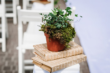 Compositions of flowers decorated greens, which is located stands on arch for wedding ceremony. wedding decor.