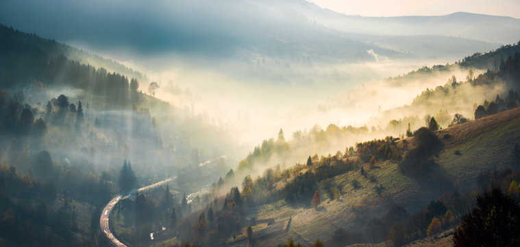 panorama of amazing scenery in mountains at sunrise. glowing fog rise from forest on hills and fall in to the valley. ray of light trace the haze in shade of trees. gorgeous autumn weather