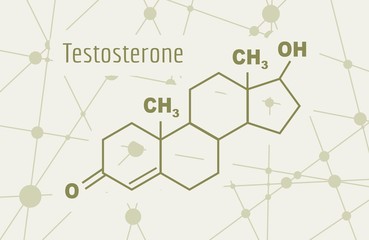 Chemical molecular formula hormone testosterone. Infographics illustration. - obrazy, fototapety, plakaty