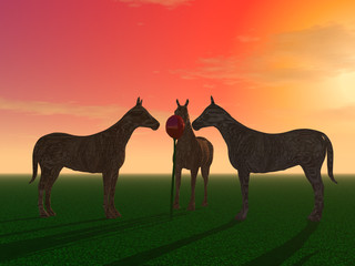 Three mysterious horses