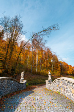 path from the stone bridge in to the forest. trees in fall colors. blue sky above the landscape