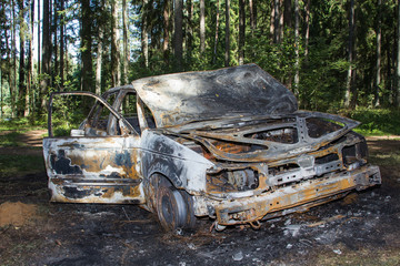 Fully burned car in the forest in summer
