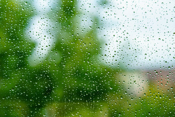 Raindrops on the window