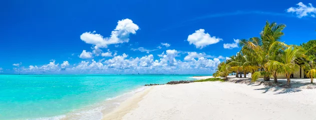 Fotobehang Tropisch strand op de Malediven © Sergii Figurnyi