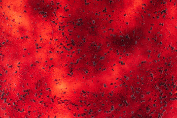 strawberry fruit leather